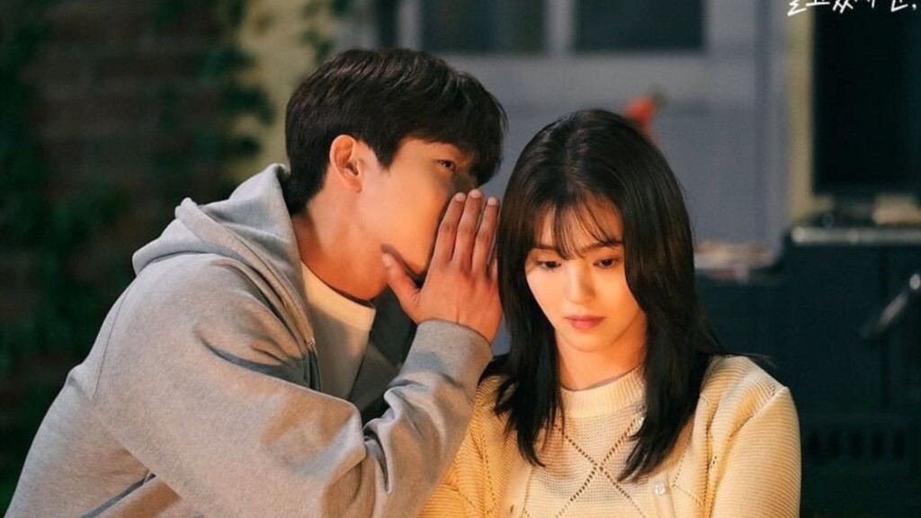 Sinopsis Drama Nevertheless